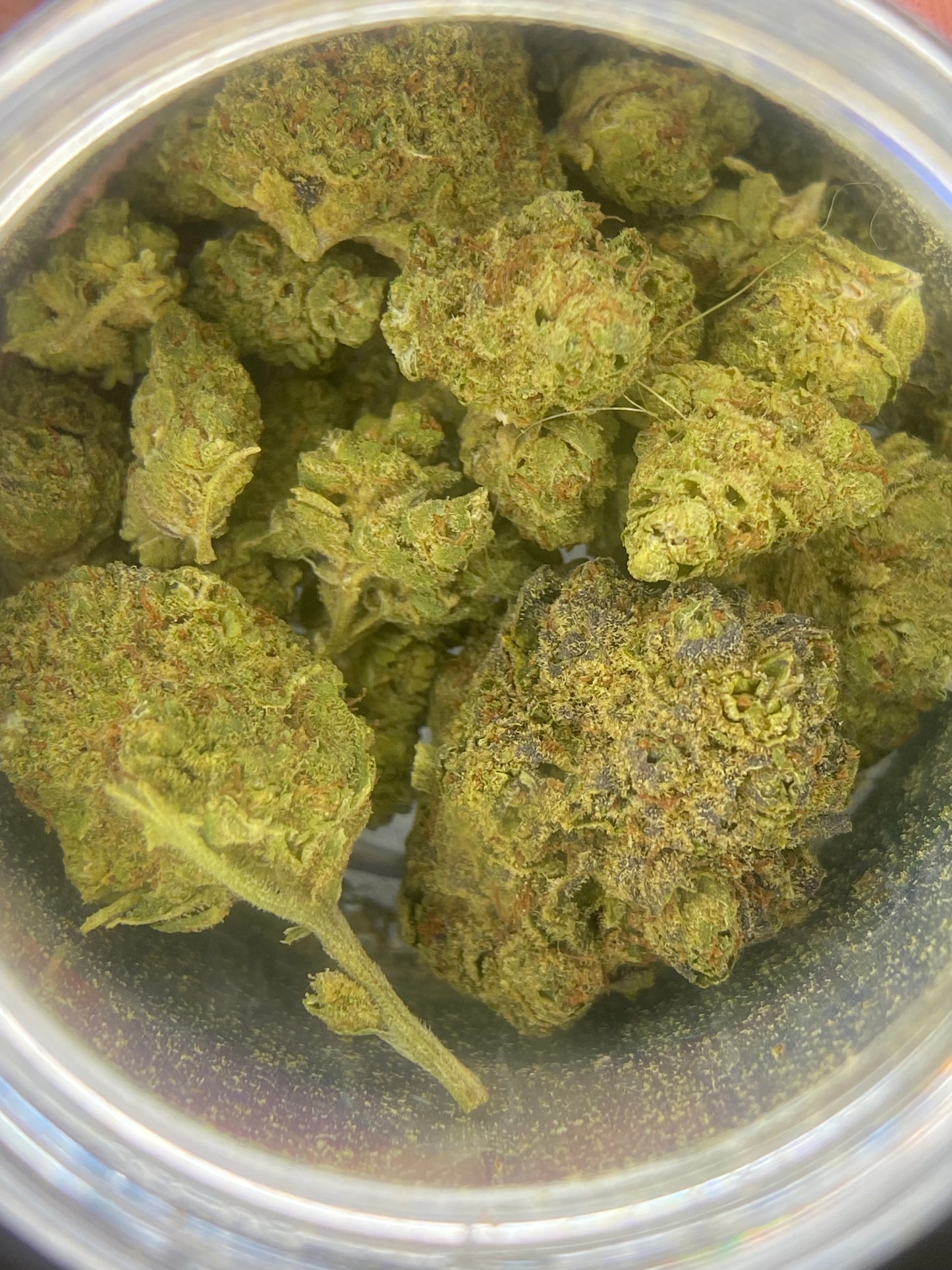 (ThcA)Tropical Haze-Fadeaway